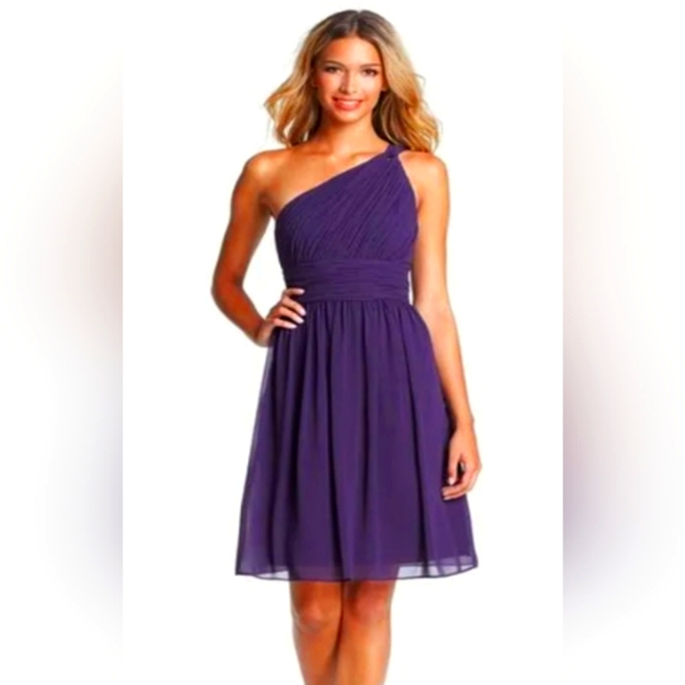 NWOT Donna Morgan Rhea Size 6 One Shoulder Chiffon in Berry